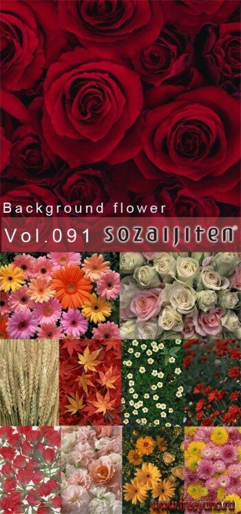 Datacraft Sozaijiten Vol.091 Background flower |  