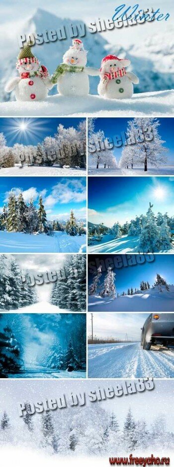 Зимние пейзажи - растровый клипарт | Winter snow landscapes