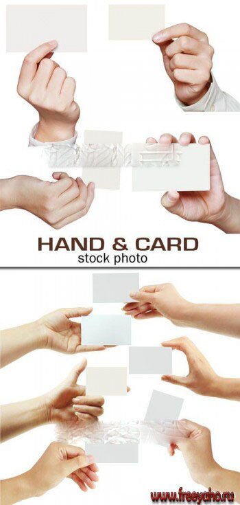 Рука с визиткой - растровый клипарт на белом фоне | Hand and business cards