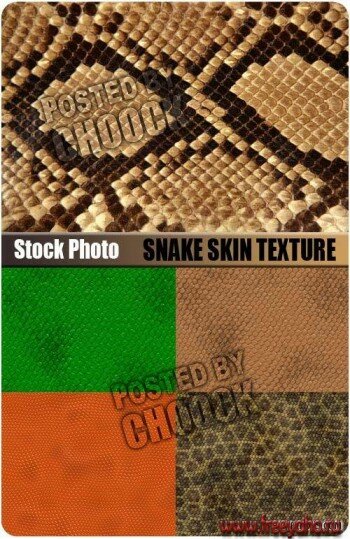   -    | The texture of snakeskin
