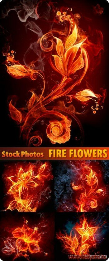    -   | Fire & flame flowers