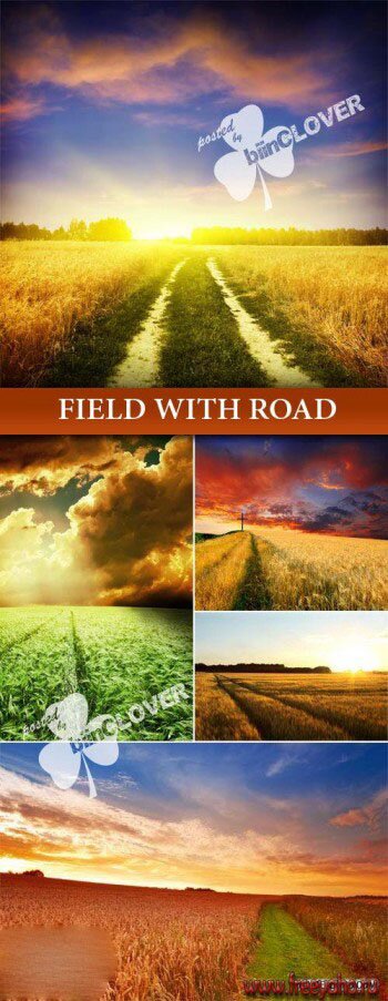    -   | Road and field 2