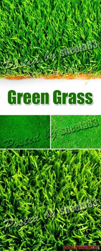   -  | Green Grass