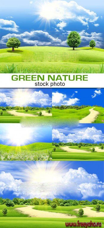     -   | Green nature 3