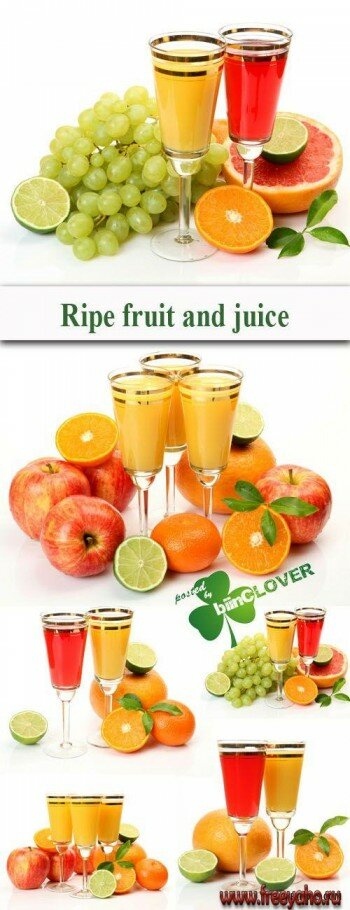    -   | Juice and fruits