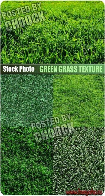  -    -   | Stock Photo - Green Grass Texture
