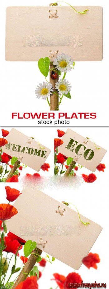     -   | Ecology flower plates