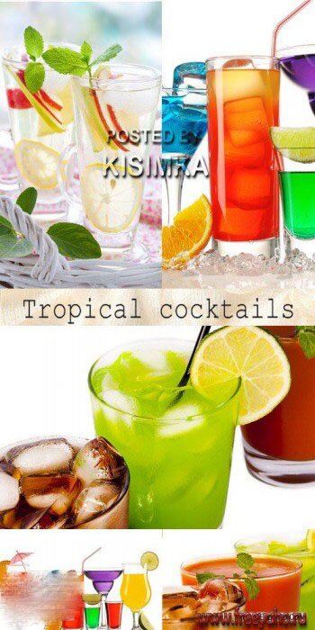   -   | Tropical cocktail