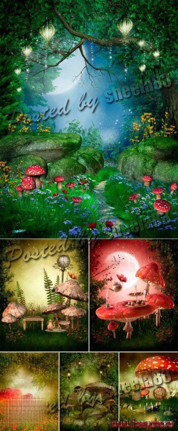    -    | Fantasy Mushrooms