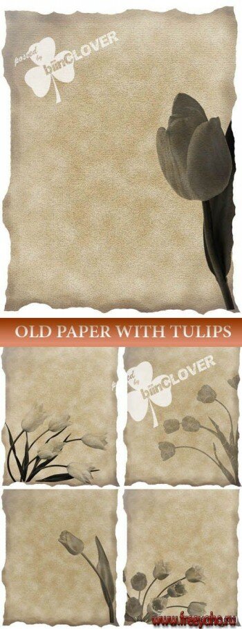     -   | Old paper with tulips