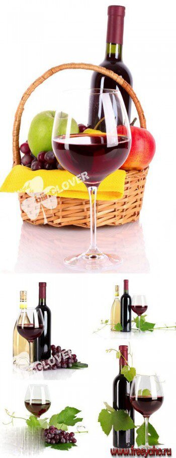    -   | Wine and grape 2