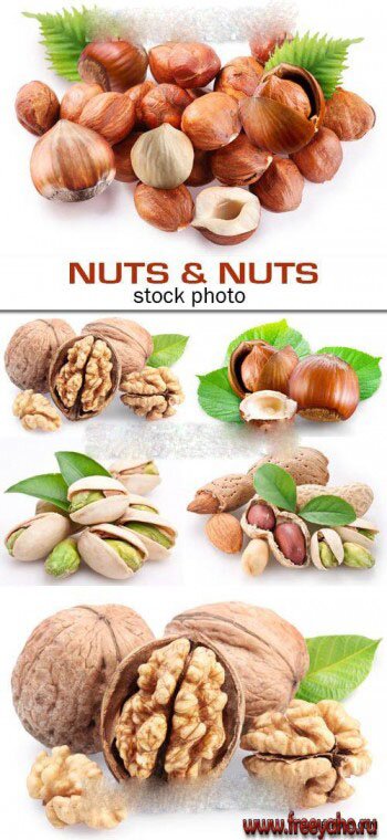  -     | Nuts clipart 2