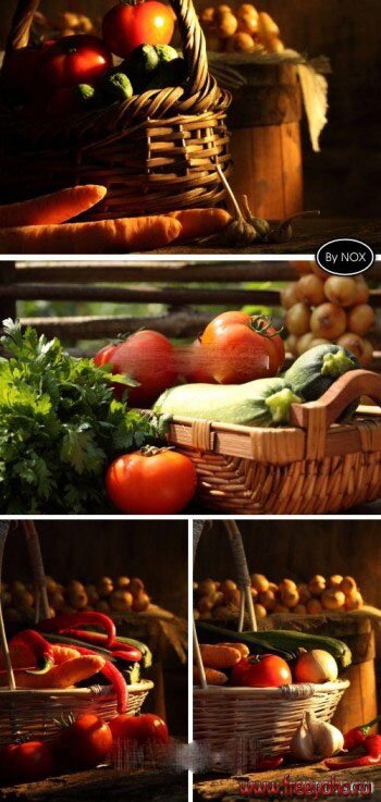    -   | Vegetables in the basket