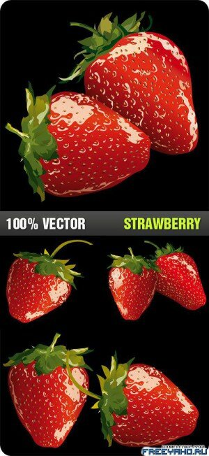 Stock Vector - Strawberry |  ()