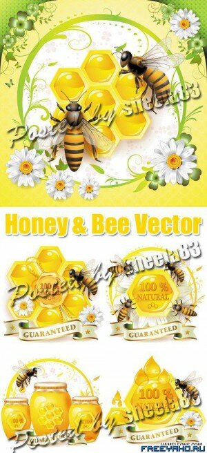 ,    -   | Honey & Bee Vector