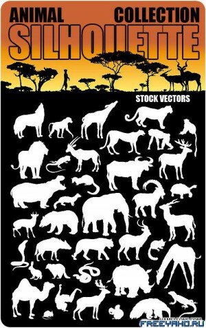 Stock Vectors - Animal collection |   