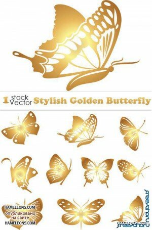     | Gold Butterfly Vector