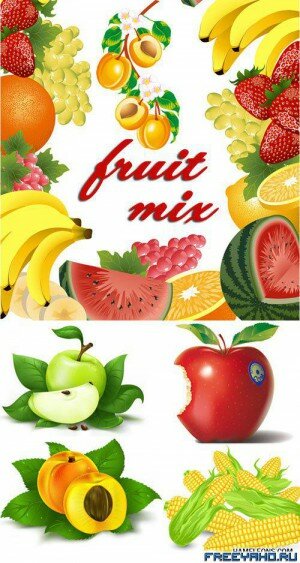 Fruit mix |   
