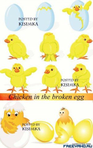    -   | Chicken and egg