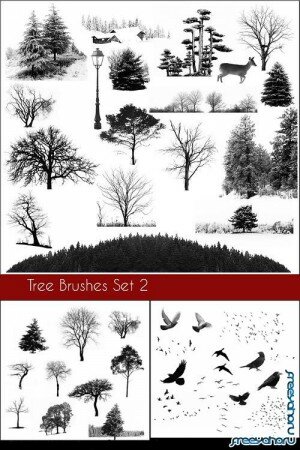 Tree Brushes and bird Brushes set