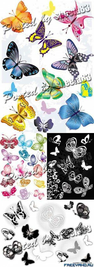   -   | Colourful Butterflies