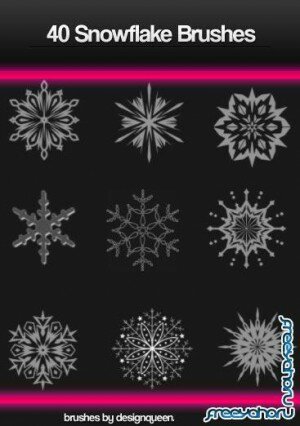 New 40 Snowflake Brushes