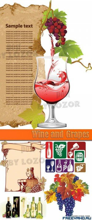      | Vector wine & grapes clipart
