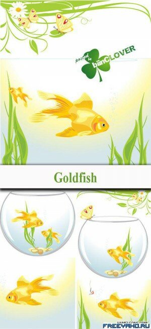     -   | Goldfish