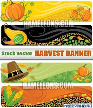 ,    -    | Harvest vector autumn banners