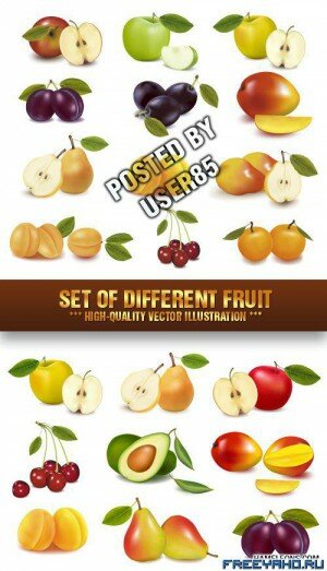   -   | Stock Vector - Set of Different Fruit