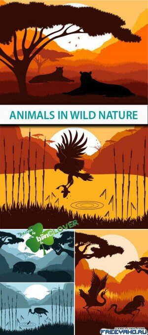    -   | Animal and nature vector backgrounds