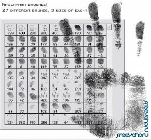 Fingerprint brushes