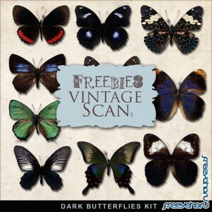 Scrap-kit - Dark Butterflies