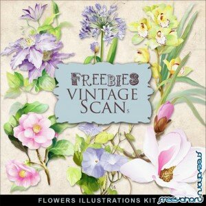 Scrap-kit - Vintage Flowers Illustrations #12