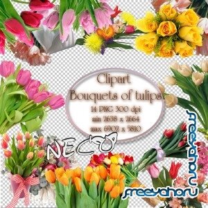 Bouquets of tulips clipart -     PNG