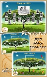 Template - the Genealogical (family) tree PSD