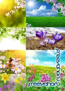 Растровый клипарт - Весенне-летние цветочные фоны