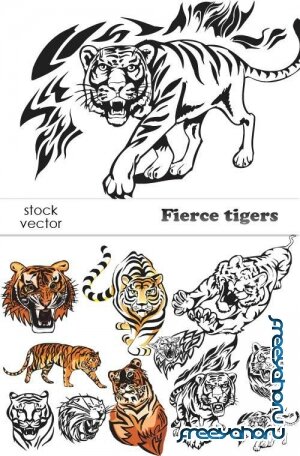   - Fierce tigers