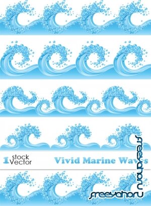 Vivid Marine Waves Vector