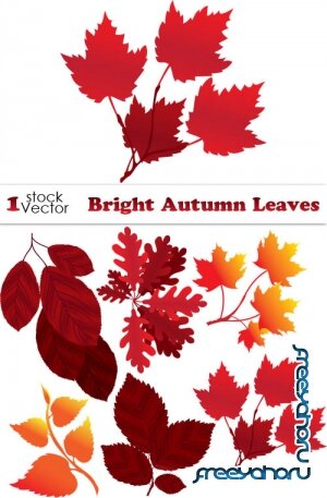 Bright Autumn Leaves Vector