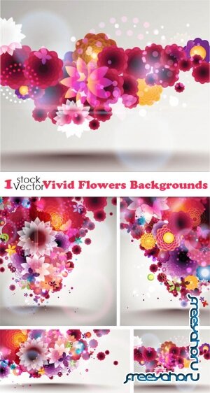 Vectors - Vivid Flowers Backgrounds