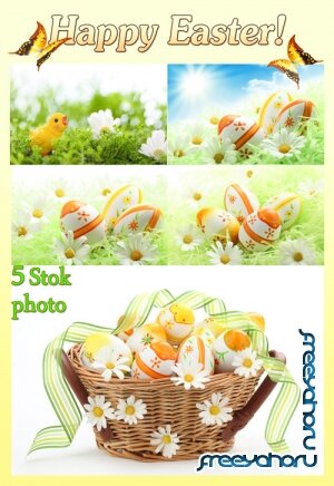 Пасха, корзина с пасхальными яйцами и лентой, ромашки - Сток фото 