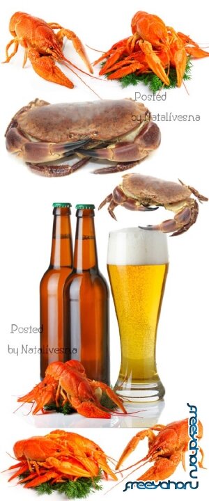 ,    / Beer, crabs to beer - Stock photo