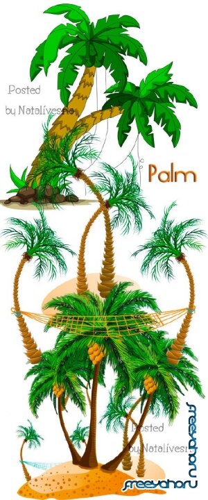       / Vector - Palm
