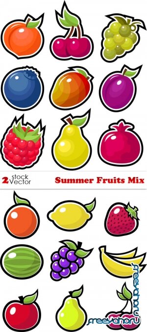 Vectors - Summer Fruits Mix
