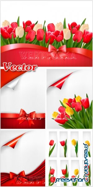     / Vector background with tulips