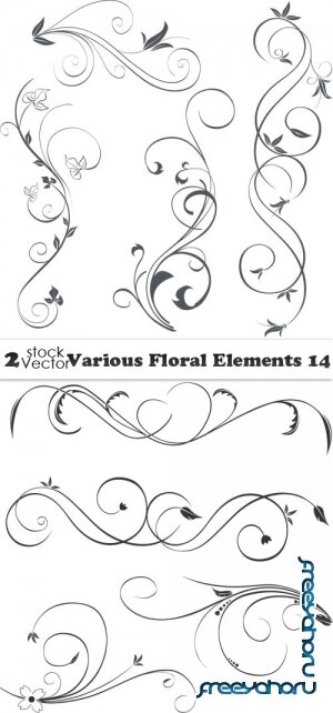 Vectors - Various Floral Elements 14