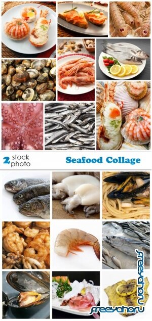   - Seafood Collage
