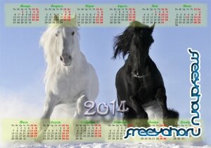  Настенный календарь - Шикарные лошади 