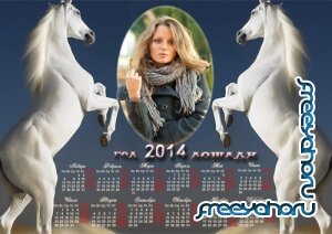  Календарь с фото - Игривые лошади 